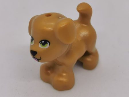 Lego Friends Animale - Caine aur