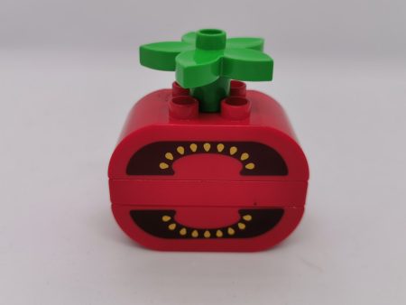 Lego Duplo Rosii