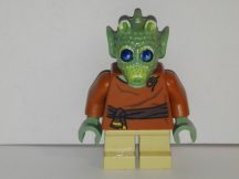 Lego Star Wars figurina - Wald (sw328)